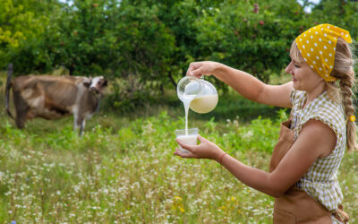 欧洲乳业的优质密码|大自然与匠心的结晶